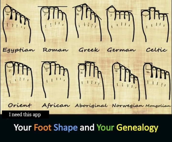 Your foot shape can predict your ancestry - 9GAG