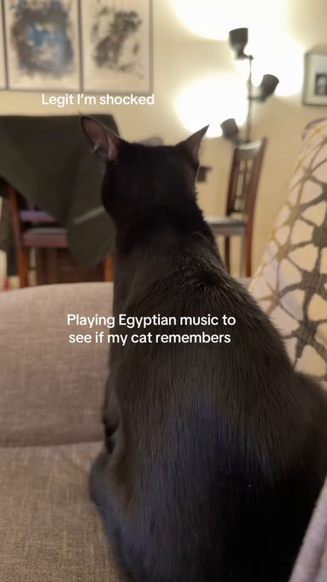 The prophecy…is it time already?!