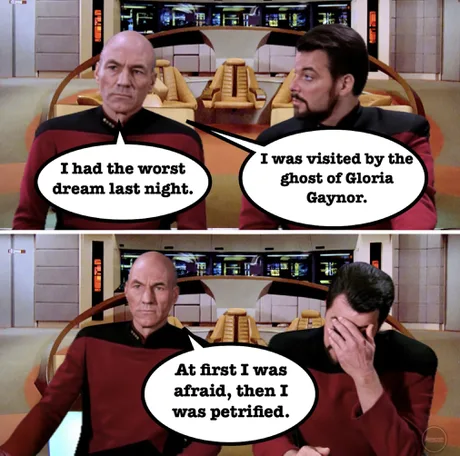 Actually pretty good