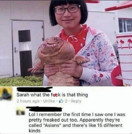 Best Funny Asian Girl Memes 9GAG best-funny-asian-girl-memes-9gag