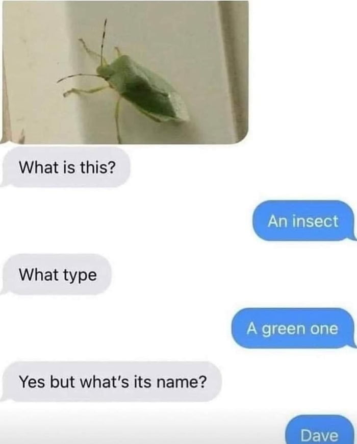 Meet Dave The Insect With An Identity Crisis 9gag