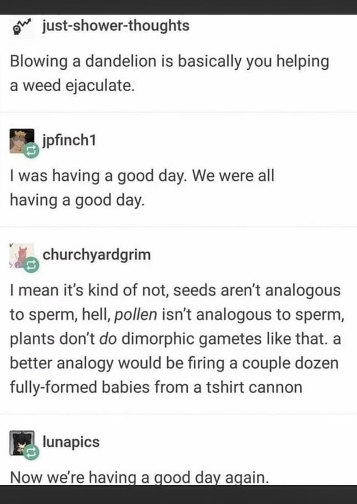 I use a weed whacker