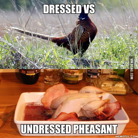 dressed vs undressed