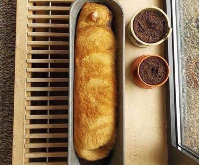 The correct way to bake bread