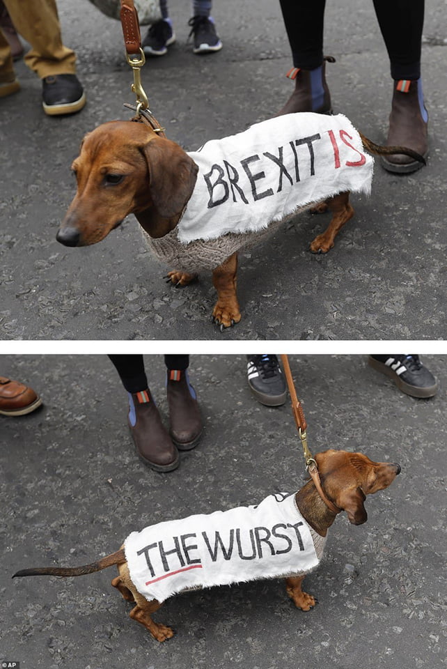 Taken in London from 23.03.19 protest against Brexit