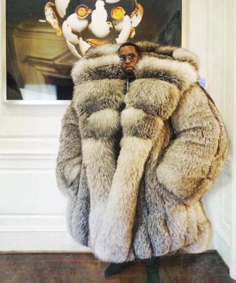 money fur coat