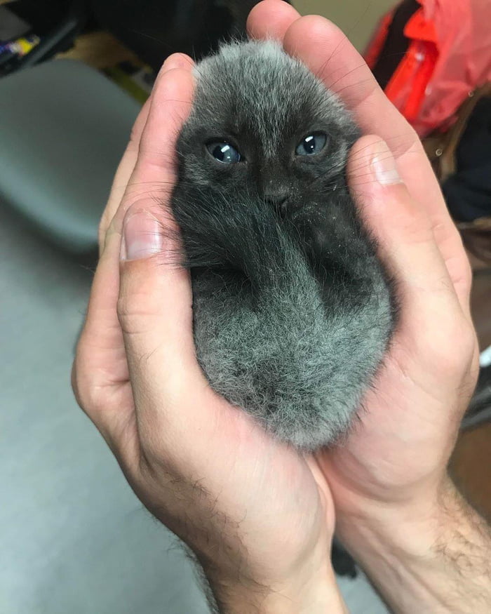 It&rsquo;s dangerous to go alone! Take this with you.....