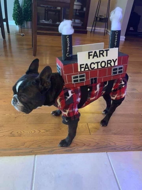 For Halloween