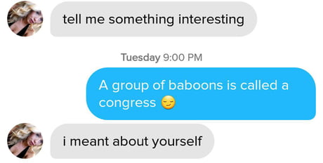 Something interesting