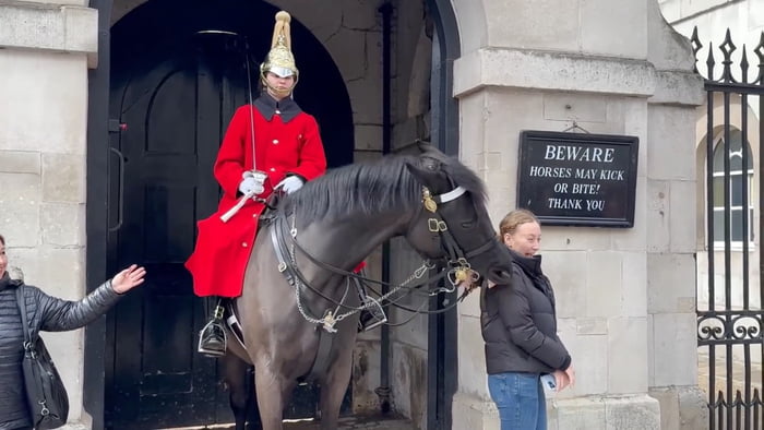 Woman Has Ponytail Bitten By King's Guard Horse After Getting Too Close ...