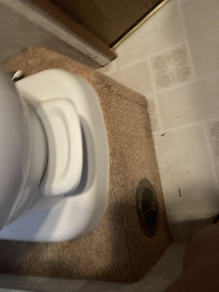 Elevated carpeted toilet 9GAG