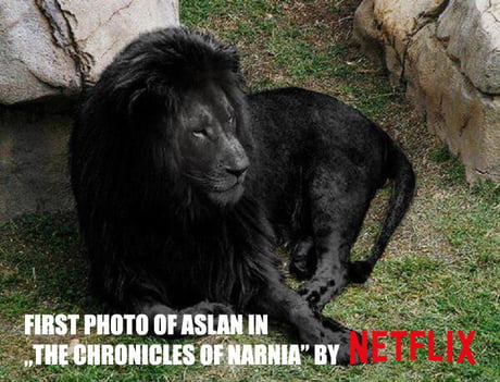 Narnia, Netflix Blackwashing Parodies