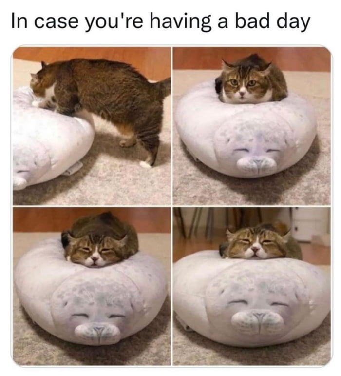 Have A Nice Day 9GAG