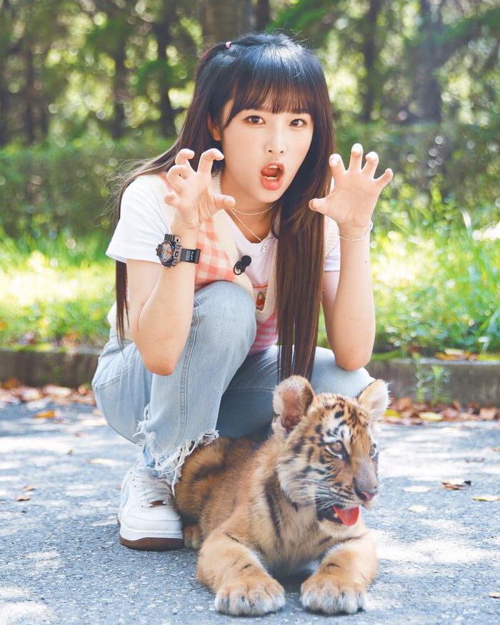 Photo : Yena