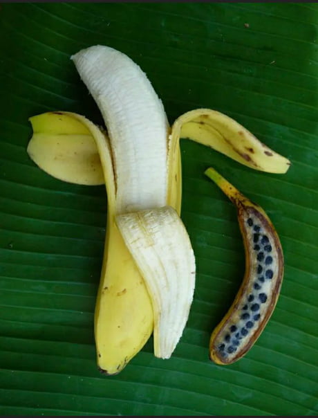 Banana - New vs Old Banana - New vs Old