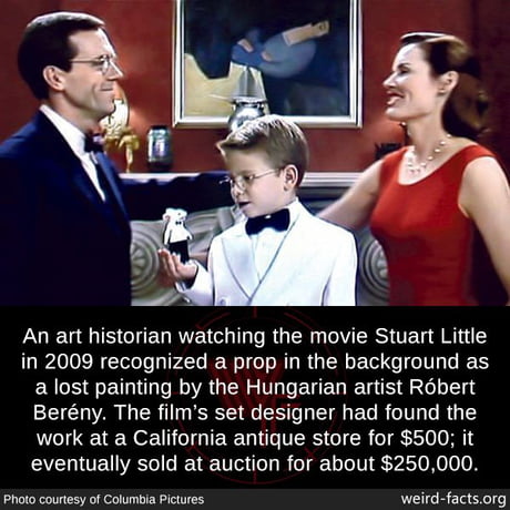 Best 30 Stuart Little Fun On 9gag