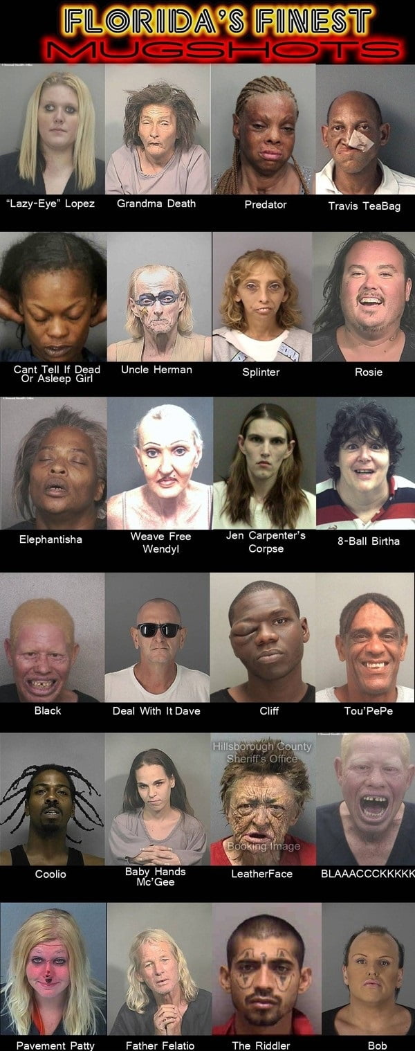 Florida's Finest Mugshots 9GAG