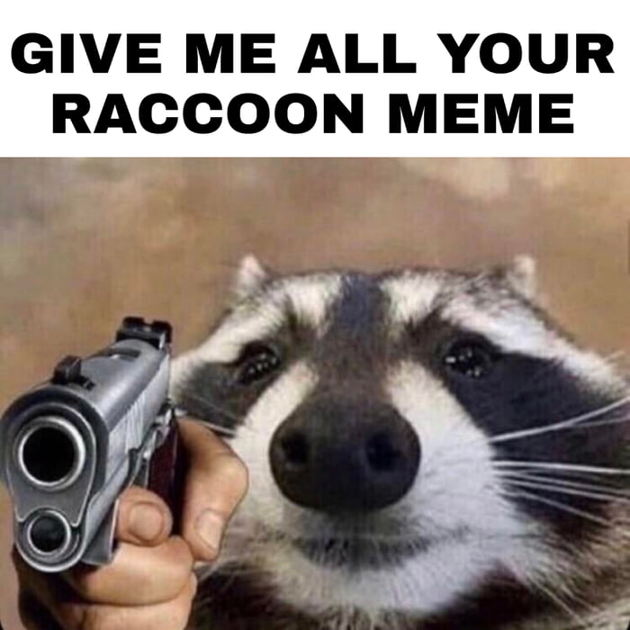 Raccoon and possum memes please - 9GAG