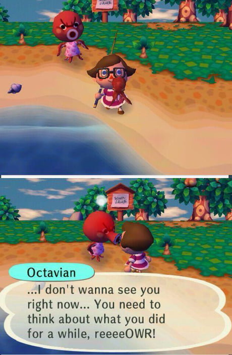 animal crossing new leaf memes