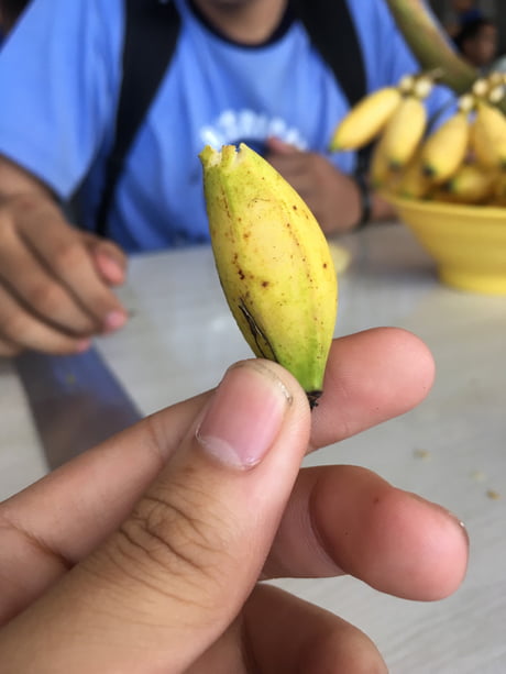 Curved Banana