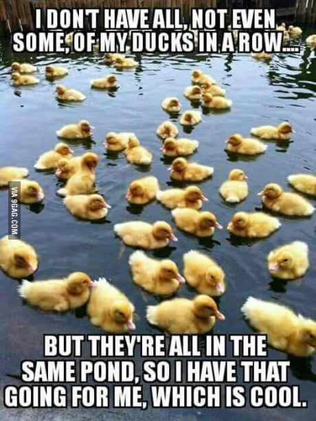 I Like To See It As A Semi Organized Chaos 9gag I Like To See It As A Semi Organized Chaos 9gag