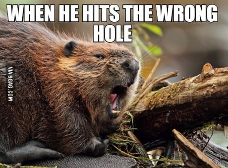 Wrong hole! - 9GAG