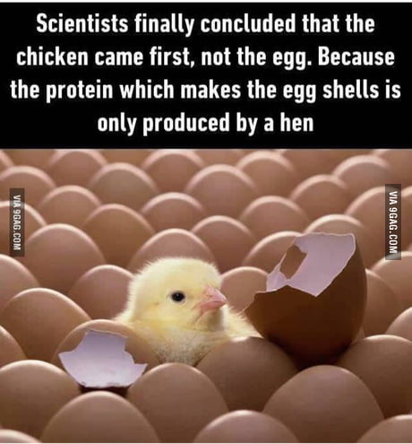 Finally I Can Sleep In Peace Now 9gag