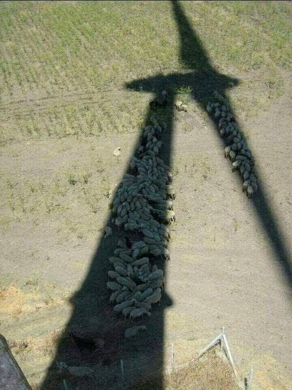 Green energy brings benefit to all of us .