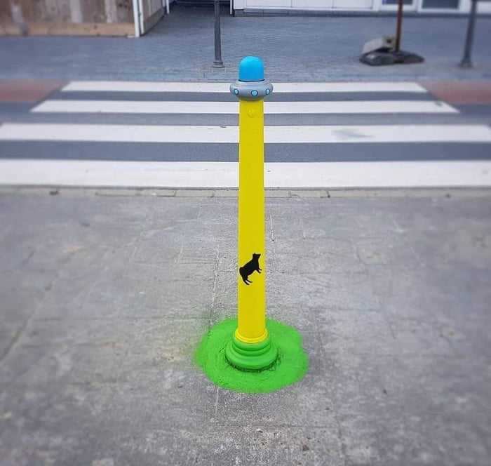 This pole looks like a ufo abducting this cow.