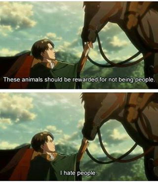 When you watch horse p*rn and there appear humans too.