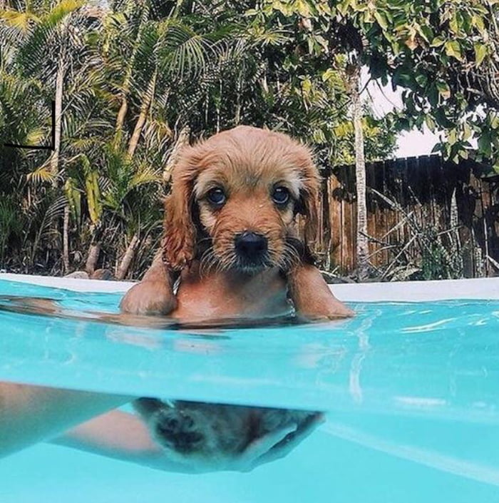 First swim and not very impressed!