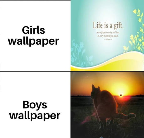 Boys show me ur funniest wallpapers - 9GAG