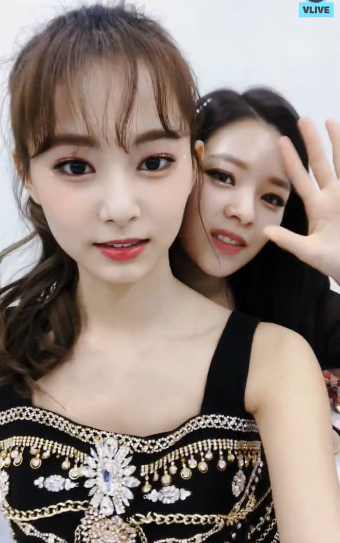Photo : Jeongyeon and Tzuyu