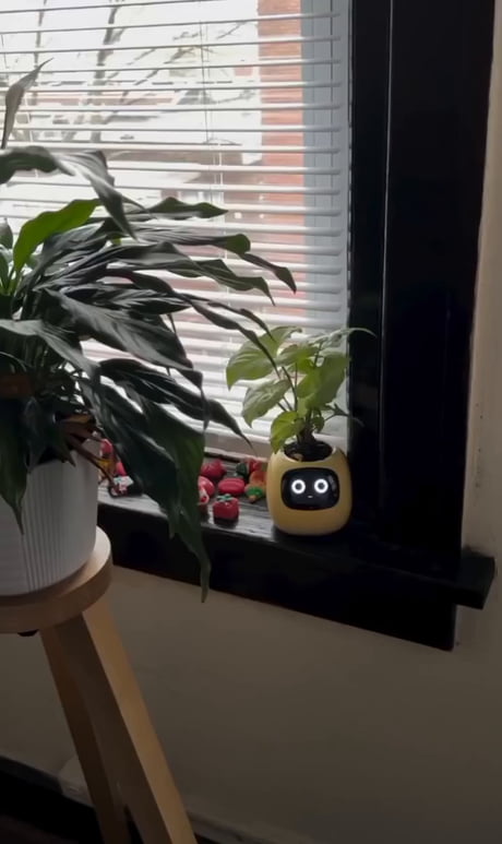 Tamagotchi 2026: The planta edition