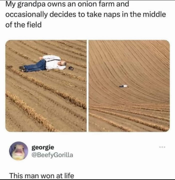 Grandpa living his best life, taking naps in the middle of his onion field