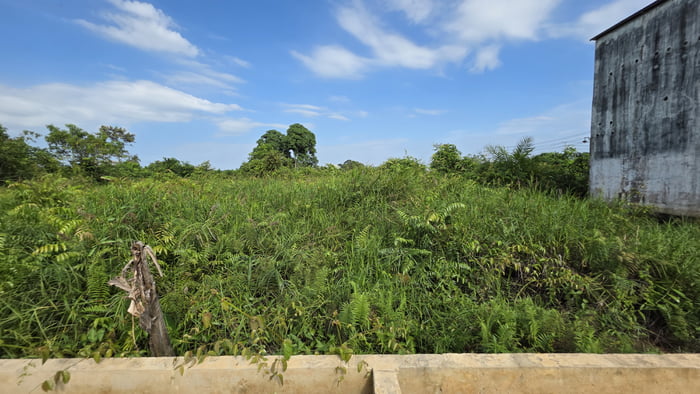 It might look shit but, I just bought this land