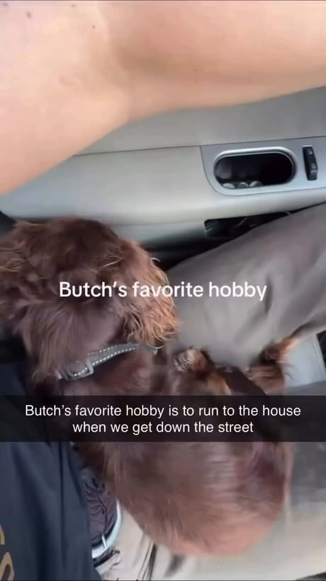 Butch is just living his best life running home