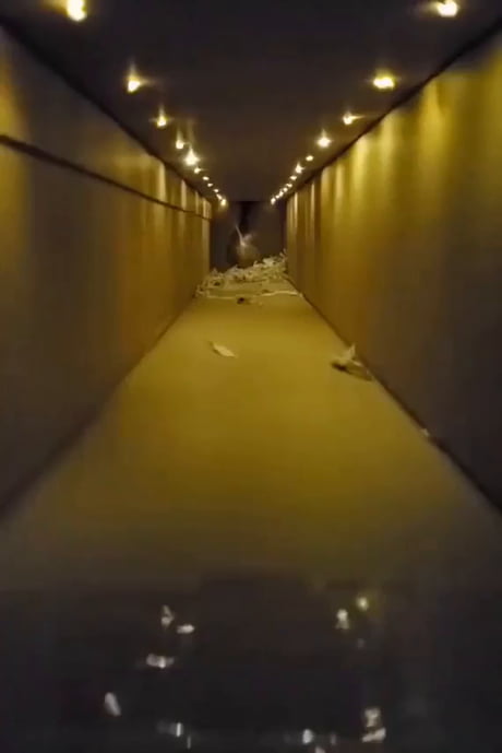 Jumpscare
