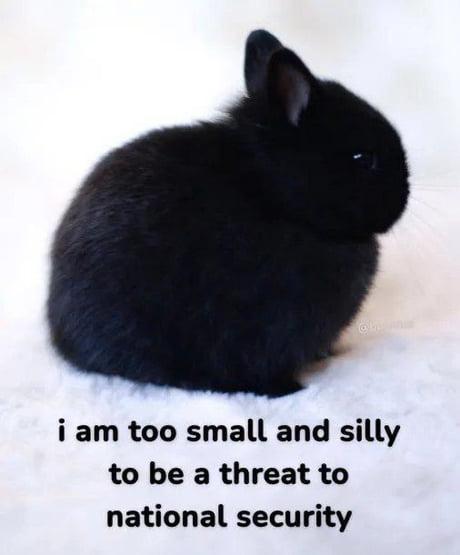 Best Funny python Memes - 9GAG