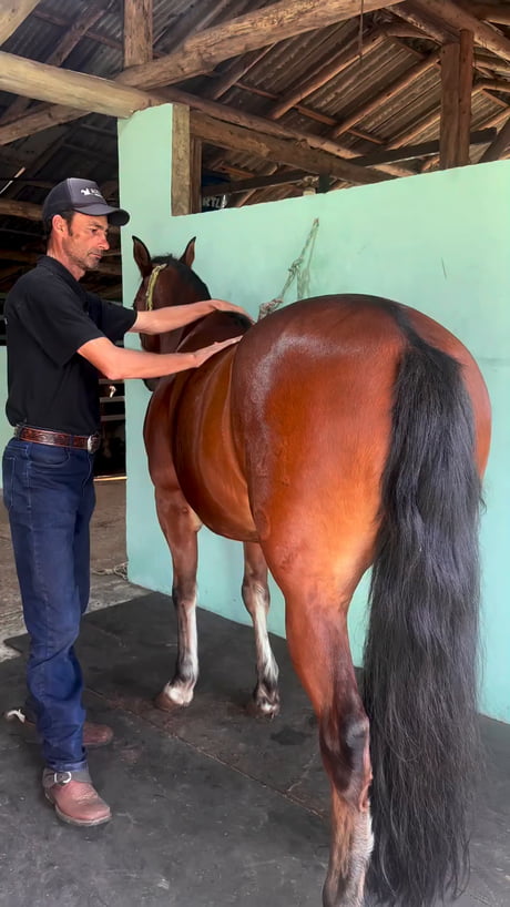 How not to horse.