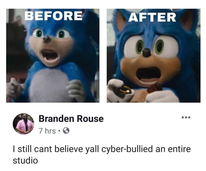 Remember Sonic the Hedgehog?
