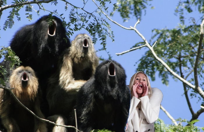 greene-in-her-element-9gag