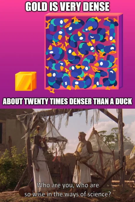 If She Weighs The Same As A Duck She s Made Of Wood 9GAG