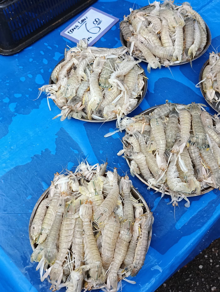 Mantis Shrimp RM6(roughly $1.50) a kilo/plate - 9GAG