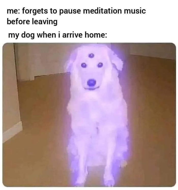 Where are my testicles, summer?