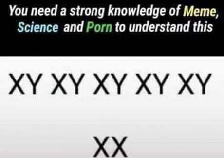 Xx Dot Com - Science and porn - 9GAG