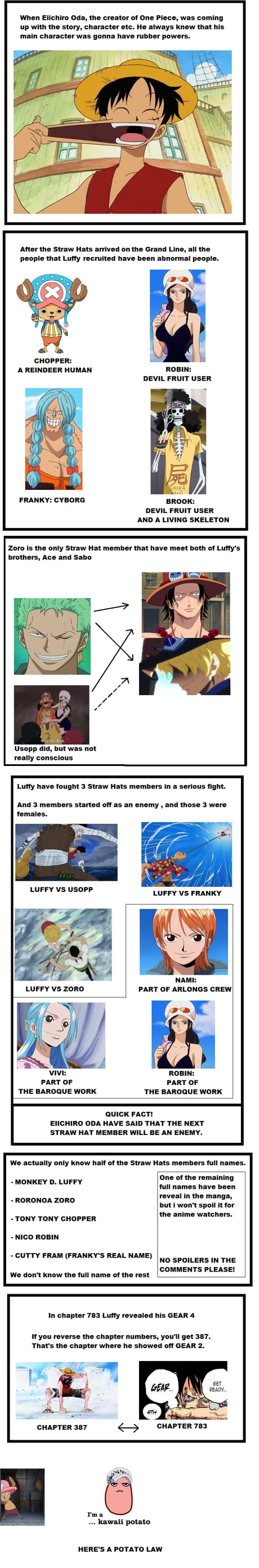 Random One Piece Facts Part 2 This Time The Straw Hats Edition 9gag