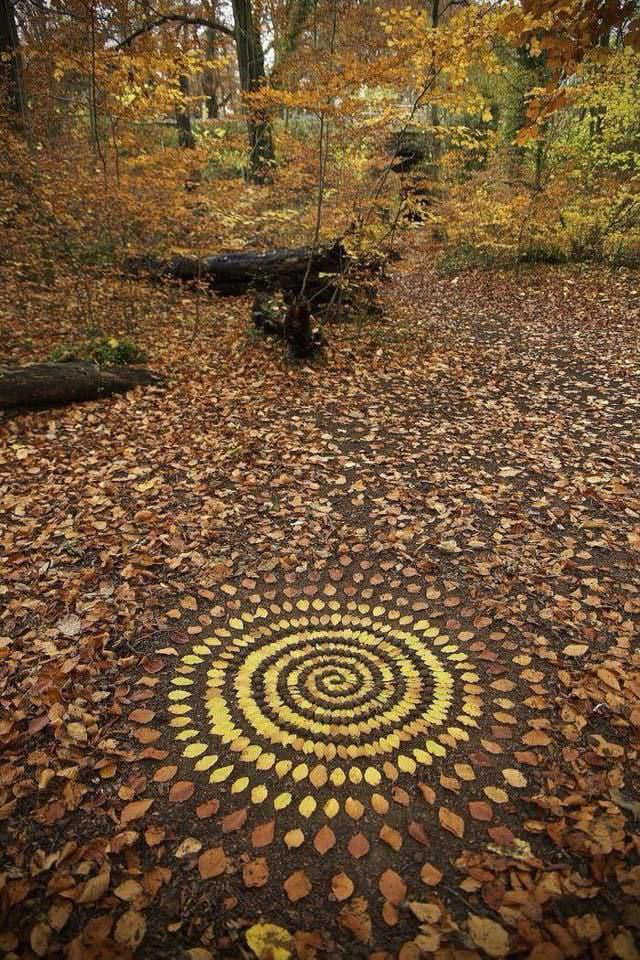 Organizing leaves into elaborate patterns (by James Brunt)