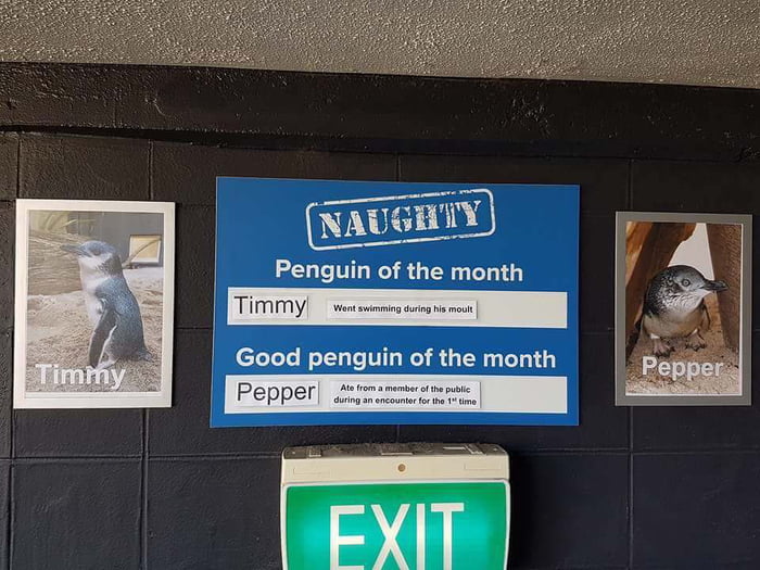 Sort your shit out, Timmy!