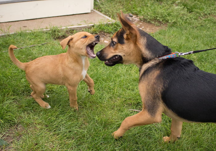 Little bro you’re doing me a frighten!